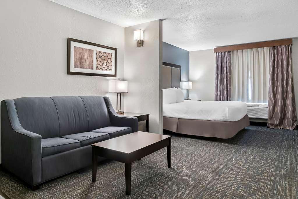Best Western Plus Flint Airport Inn & Suites Room photo